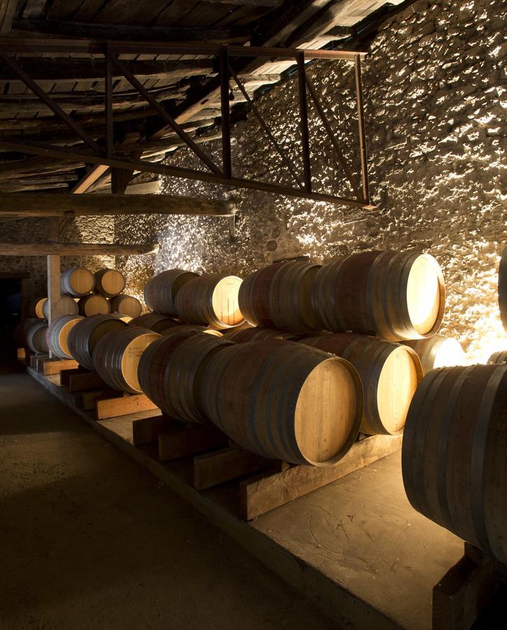 Maison Le Sepe - Vignoble Bio Et Maison D'Hotes 圣哈德贡德 外观 照片