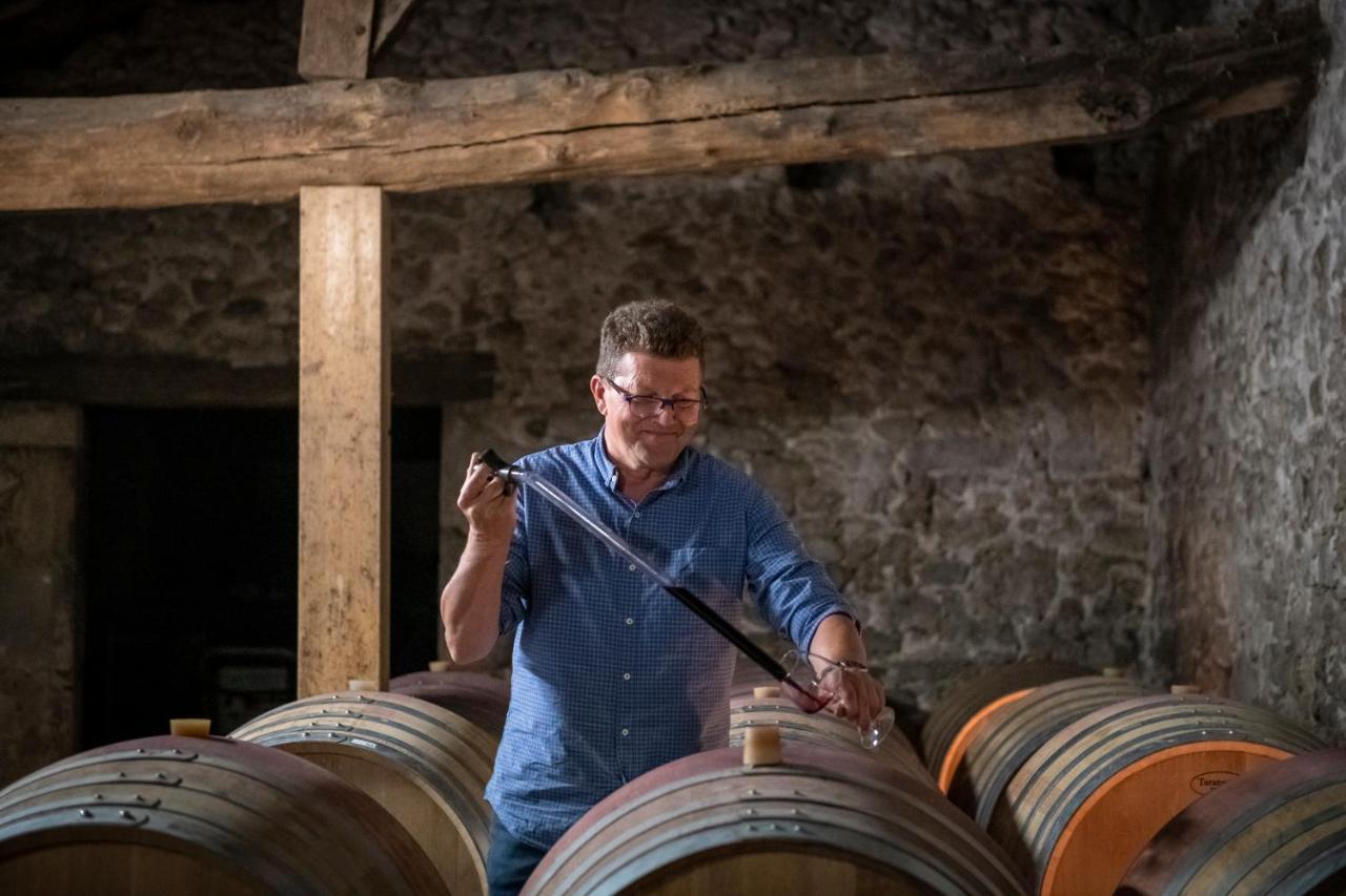Maison Le Sepe - Vignoble Bio Et Maison D'Hotes 圣哈德贡德 外观 照片